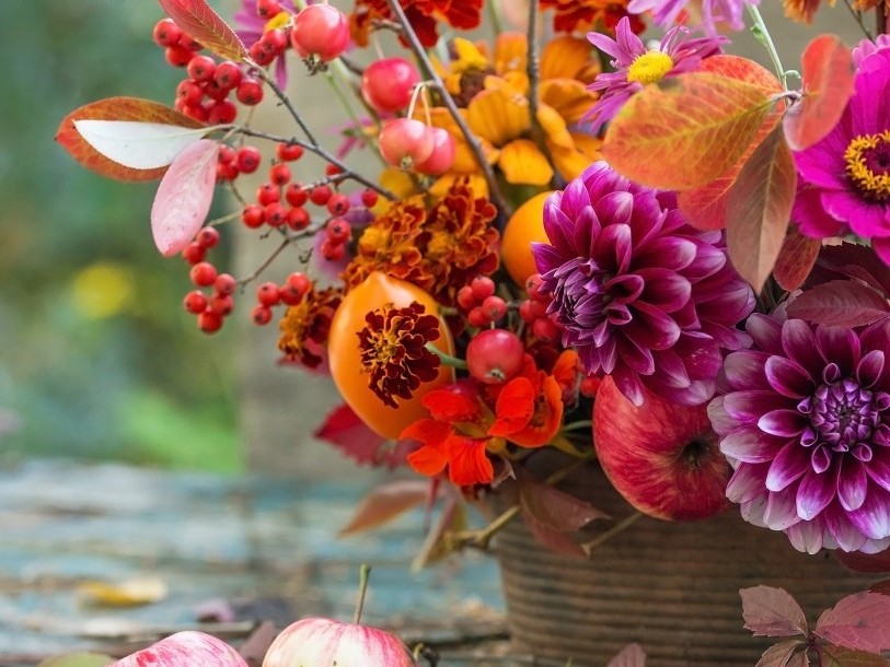 Autumn flowers closeup background, fall flowers bouquet, florist composition with dahlia and apples